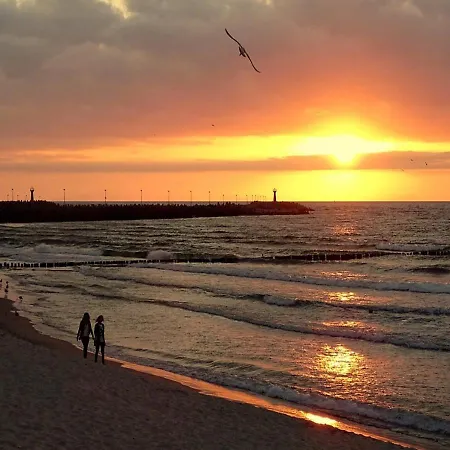 Whiteblue Z Duzym Ogrodkiem - 100 M Od Plazy! Whiteblue Mit Grossem Garten - 100 M Vom Entfernt! Whiteblue S Velkou Zahradou - 100 M Od Plaze! Appartement Kołobrzeg